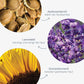 Das PreCleanse-Produkt präsentiert Bilder von Aprikosenkernen, Lavendelblüten und einer Sonnenblume. Dabei wird Aprikosenkernöl für die Hautbarriere, Lavendelöl für die beruhigende Wirkung und Sonnenblumenöl zur Stresslinderung hervorgehoben. Es ist ein ideales Reinigungsöl mit natürlichen Pflanzenölen.